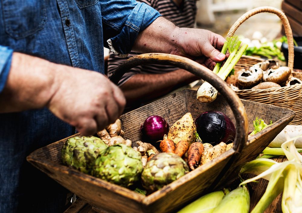Closeup of hands holding wooden basket with fresh organic vegetable inside