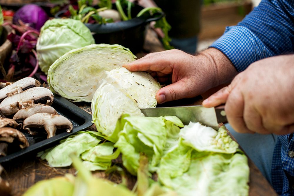 Closeup of hands with knife cutting cabbage on cut board