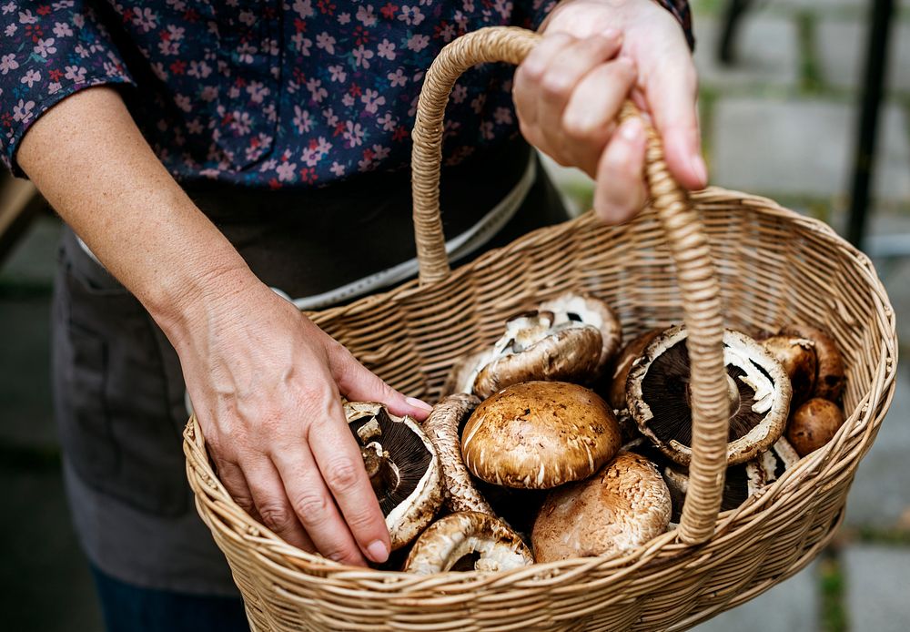 Closeup of hand holding wooden basket with mushroom inside