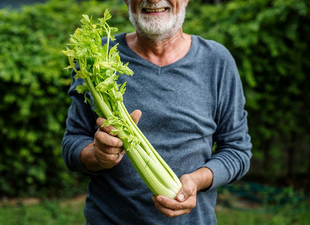 Man holding kale organic produce from farm