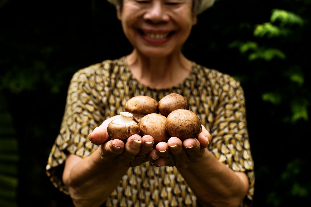 Hands holding a fresh mushroom