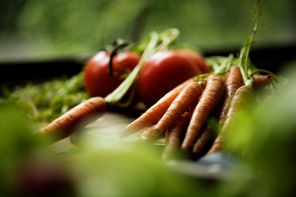 Carrot and tomato among green vegetable