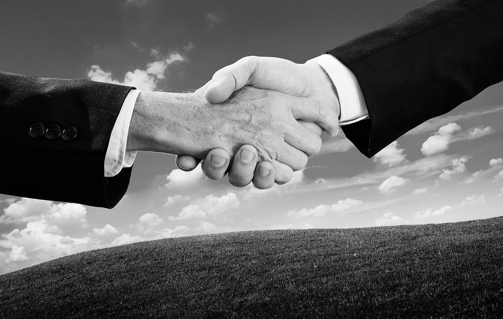 Close up of two businessmen shaking hands
