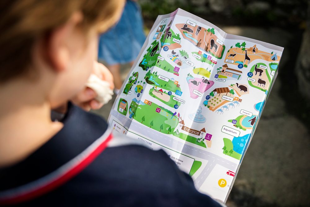 Rear view of young caucasian boy looking at the zoo map
