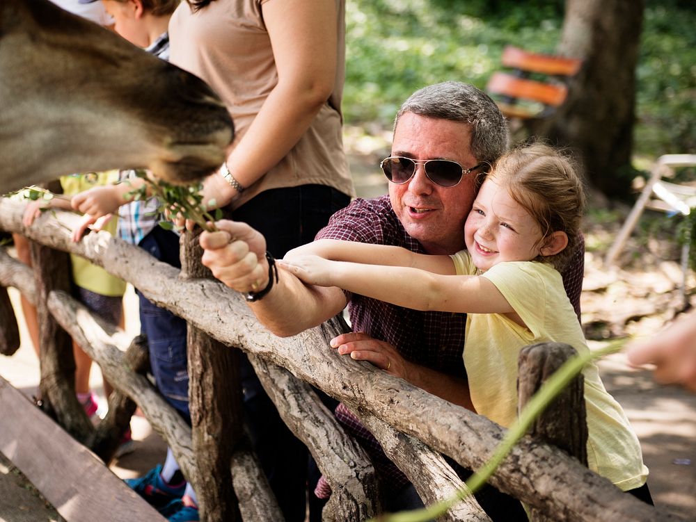 Caucasian dad and daughter feeding the giraffe at the zoo