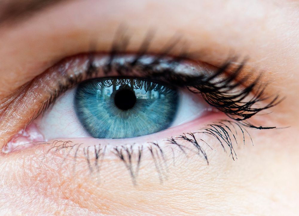 Macro closeup of human blue eye
