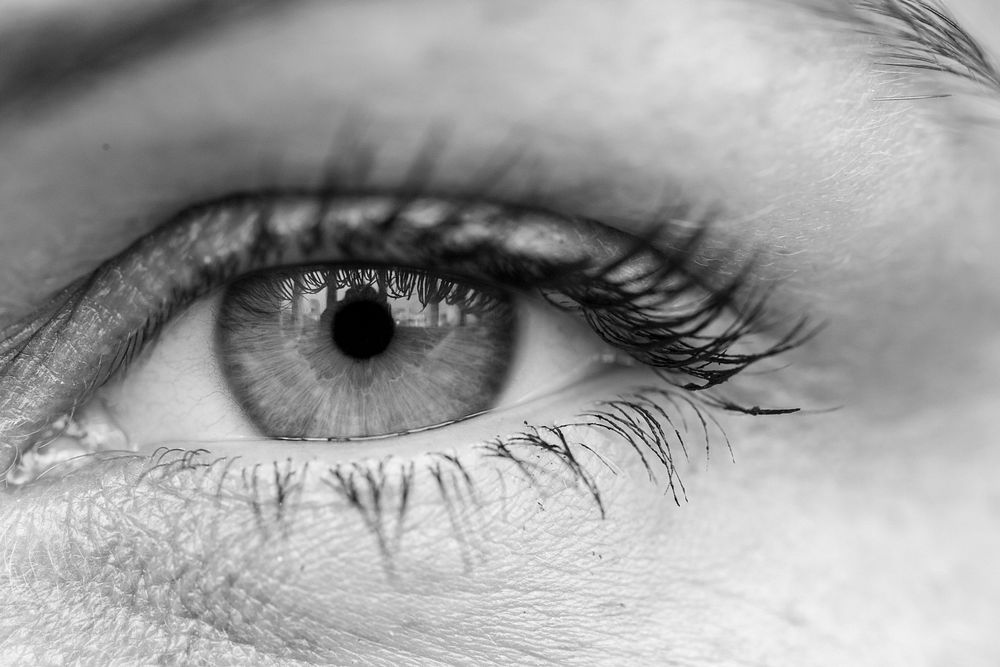 Macro closeup of human eye grayscale