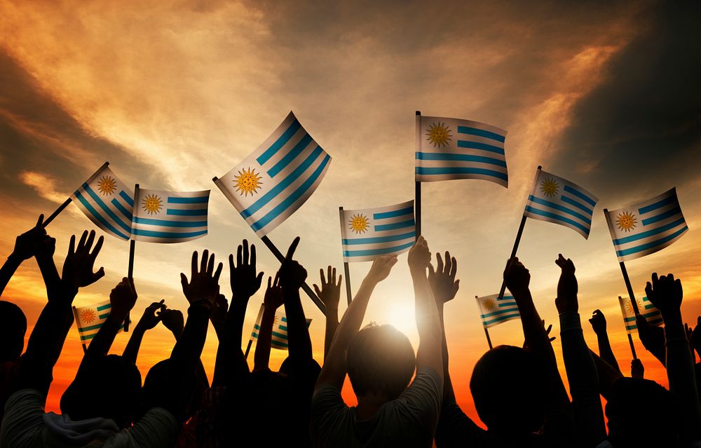 Group of People Waving Uruguayan Flags in Back Lit