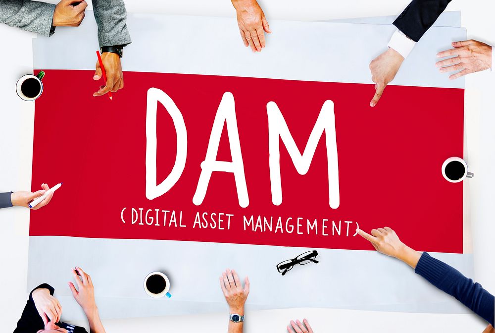 DAM Digital Asset Management Organization Concept