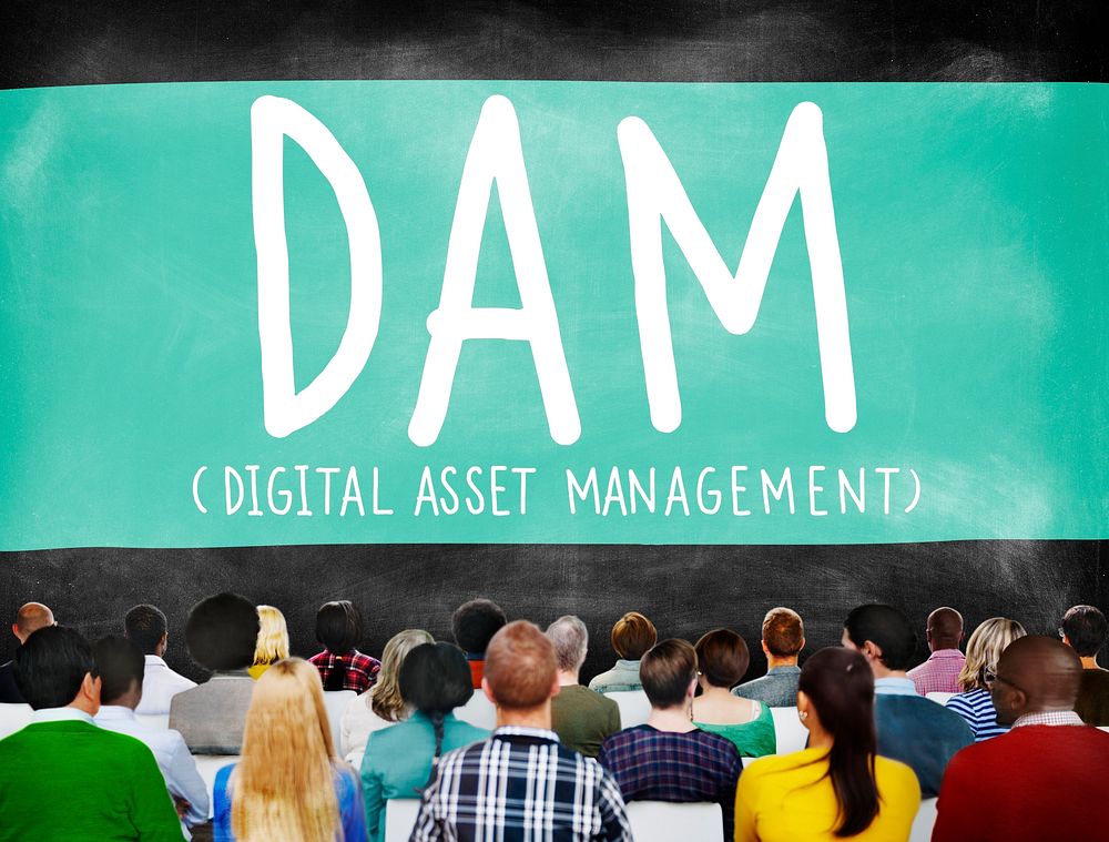 DAM Digital Asset Management Organization Concept