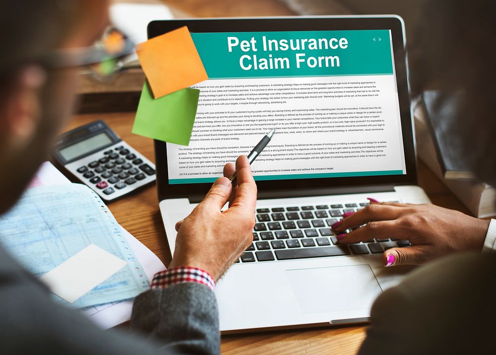 Pet Insurance Claim Form Puppy Animal Safety Concept