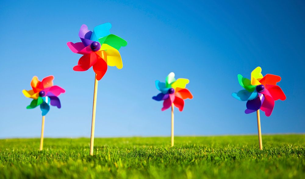 Group of pinwheels on the grass and one pinwheel standing out