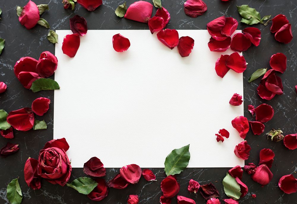 Rose petals frame with white copy space
