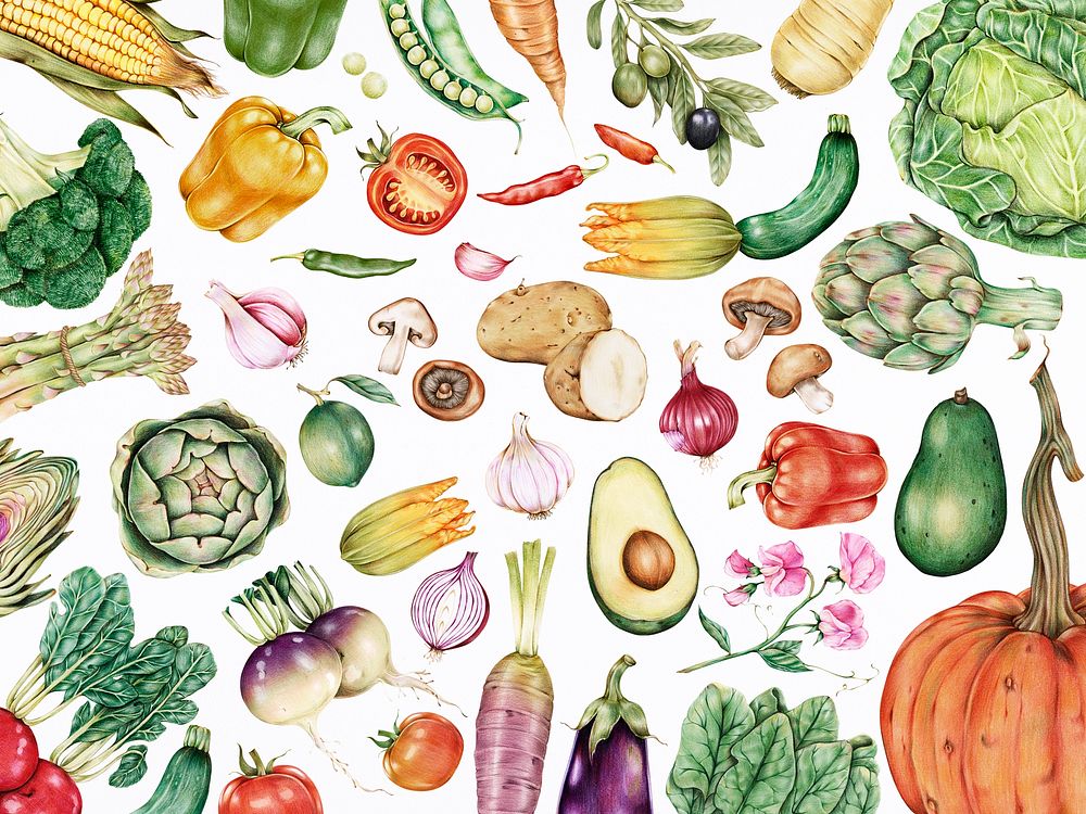 Hand drawn vegetables collection
