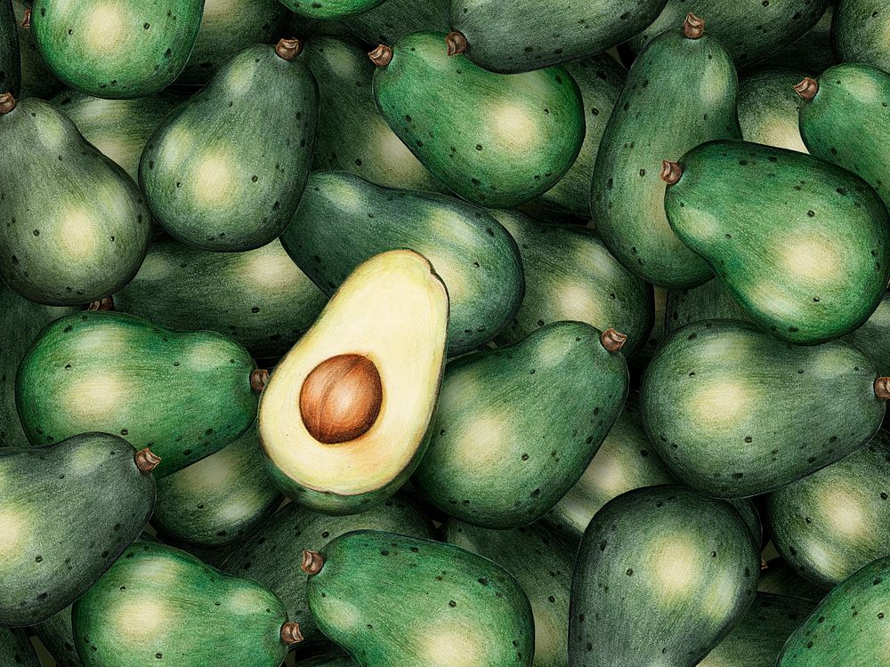 Hand drawn avocado patterned background illustration
