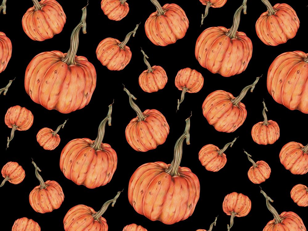 Hand drawn pumpkin patterned background illustration
