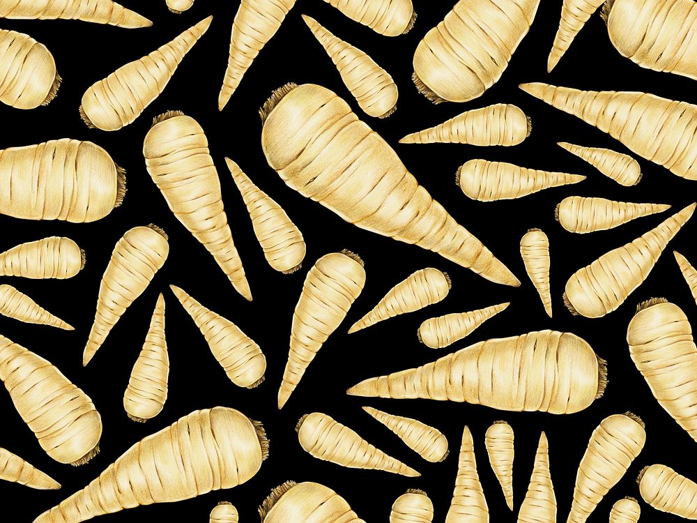 Hand drawn carrot patterned background illustration