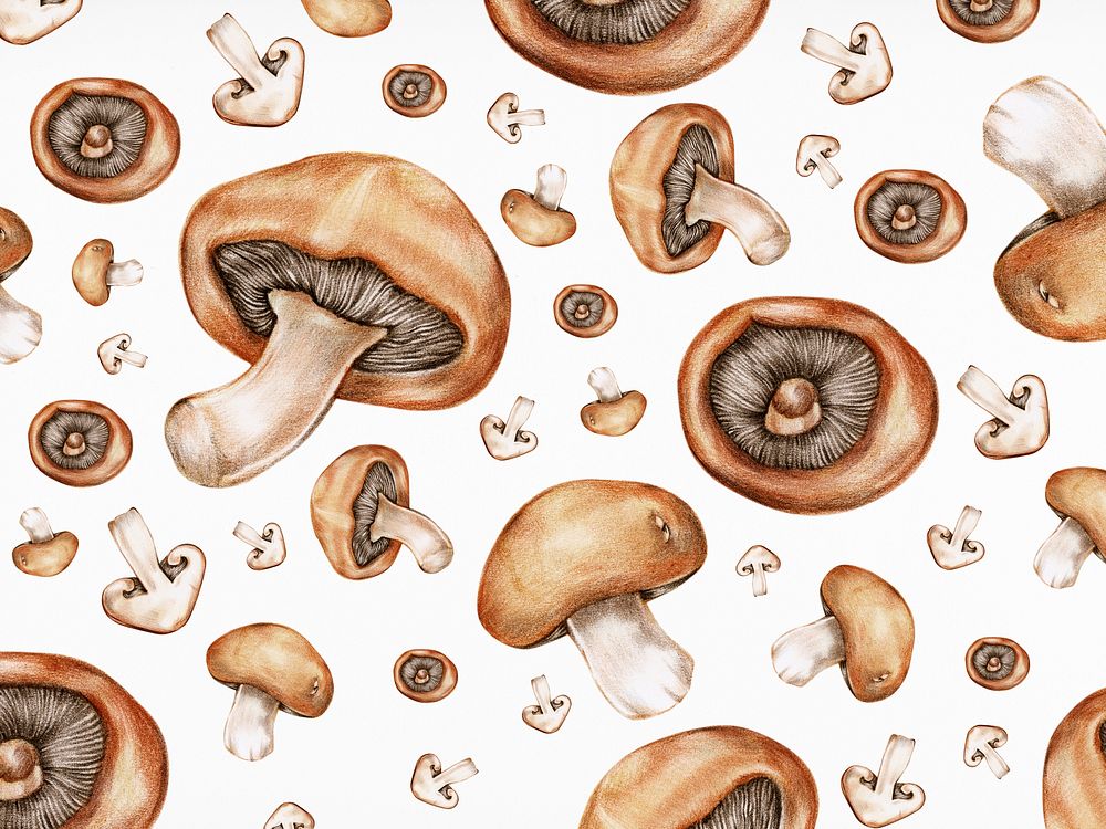 Hand drawn mushroom patterned background illustration