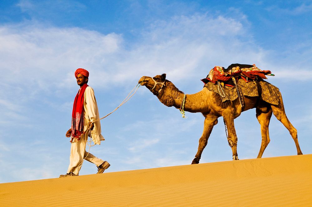 My Family and Other Globalizers | Converting to the camel in Rajasthan