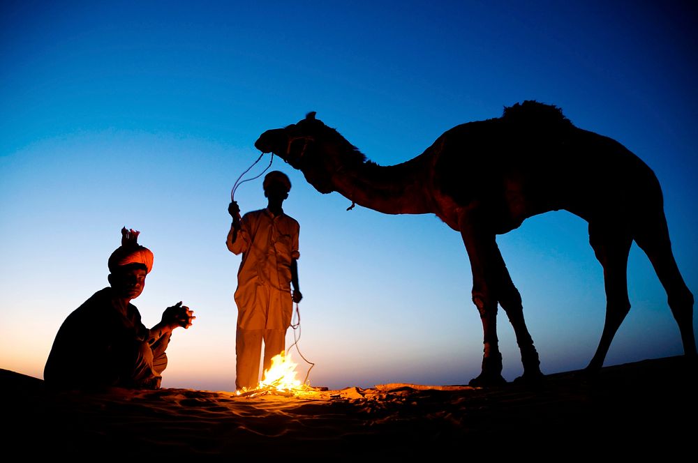 Indian men resting by the bonfire with their camel