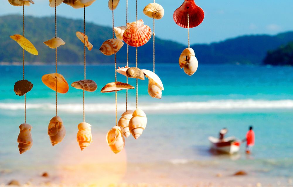 Sea Shells Shore Malaysia Beach Concept