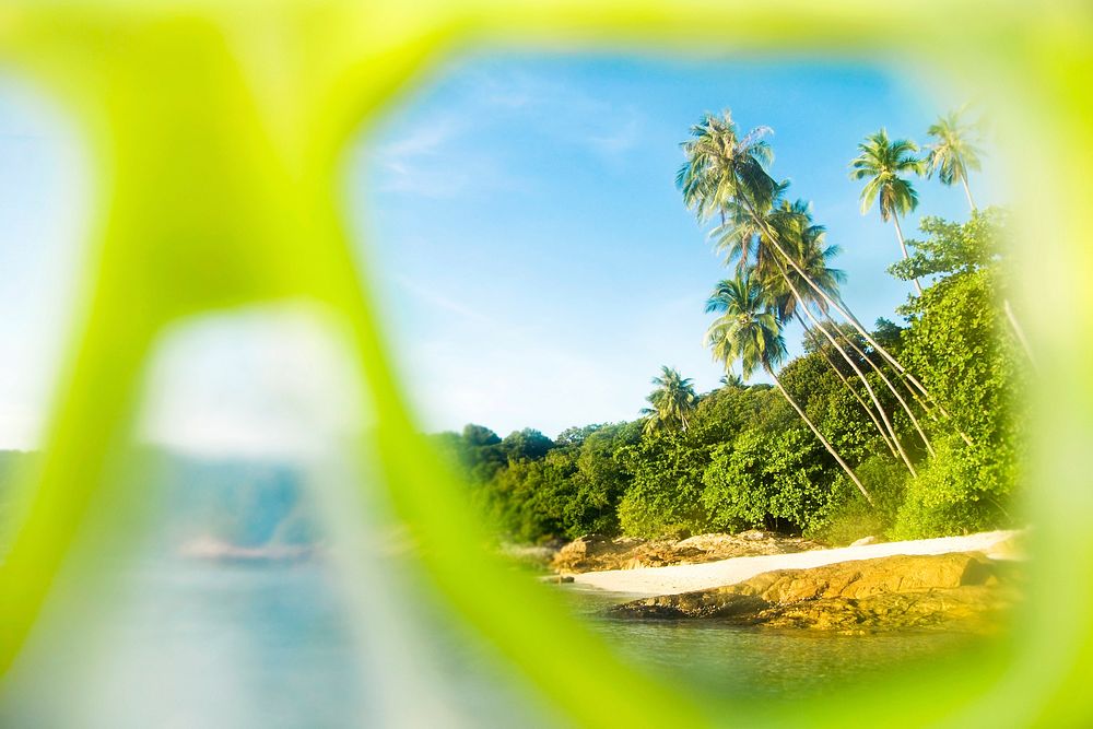Snorkelling off an idyllic palm fringed island. 