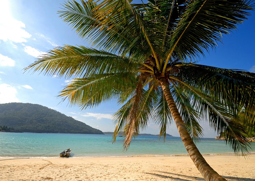 A Lone palm tree and boat on an empty tropical island, Malaysia.