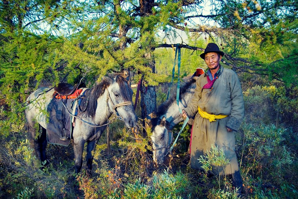 Nomadic Tsaatan or Dukha (Reindeer people) of northern Mongolia. The Tsaatan's survival is threatened by environmental…