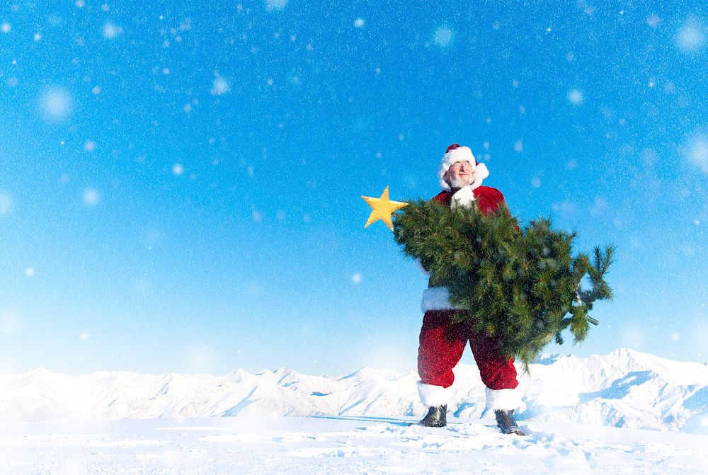 Santa claus carrying a christmas tree on a snow covered mountain.