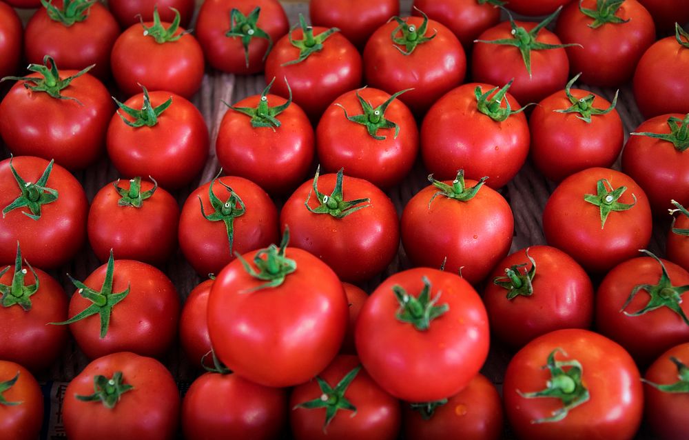 A bunch of fresh tomato produce