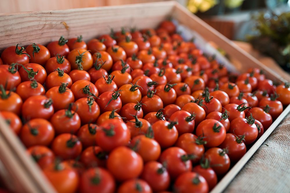 Fresh organic tomatoes product pattern