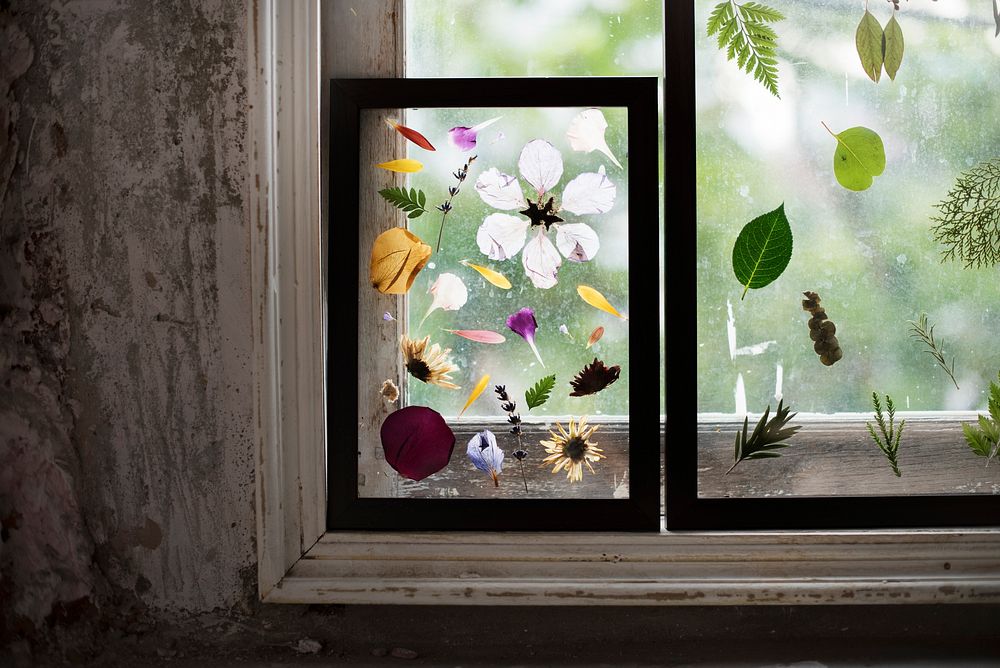 Foliage and pressed flower in a transparent frame