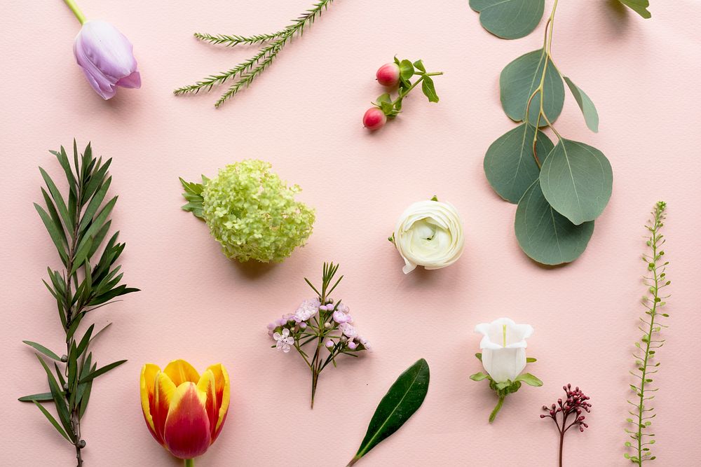Various kinds of flowers on pink background