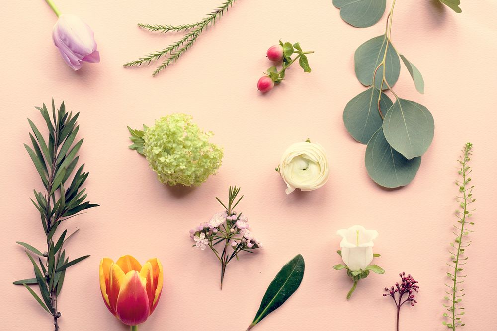 Various of Fresh Flowers on Pink Background