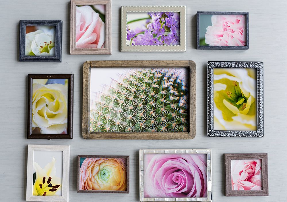 Photo Frames with Flowers on Gray Background