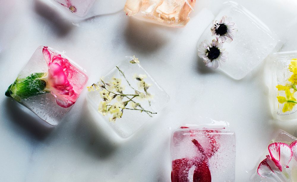 Ice cubes with flower petals
