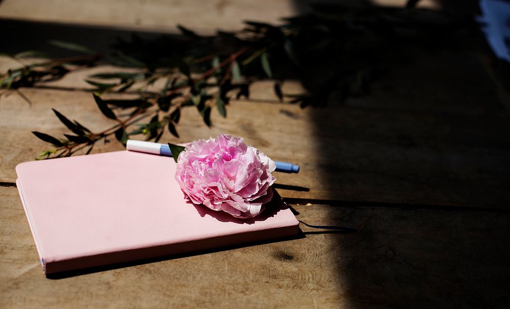 Closeup of pink carnation flower on notebook on wooden table