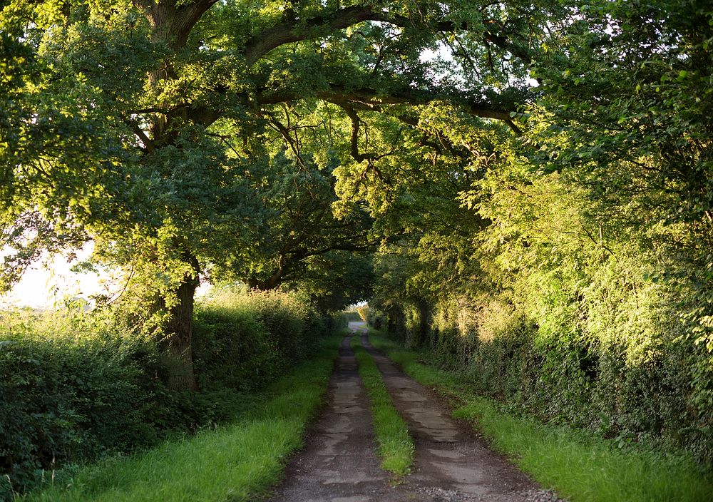 Countryside path walk