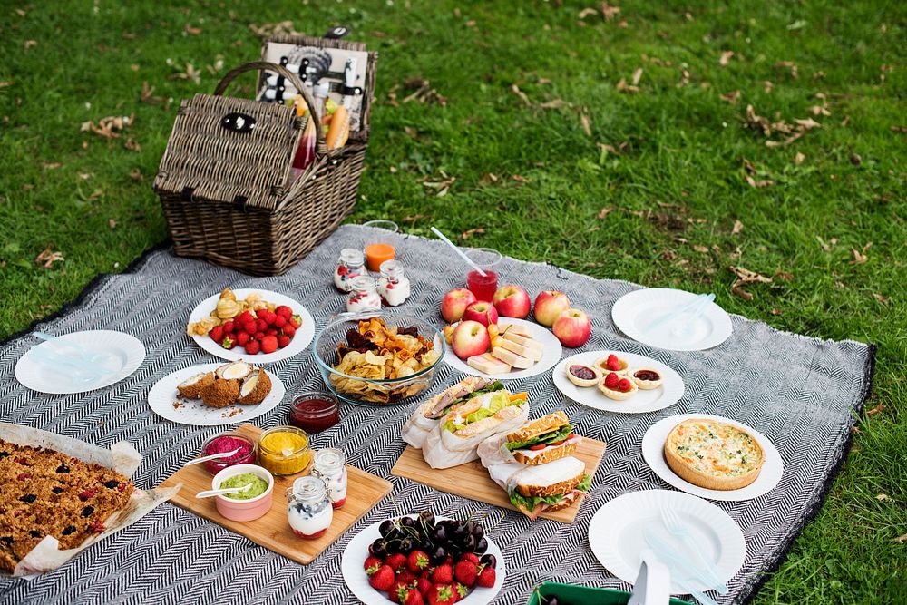Picnic Lunch Meal Outdoors Park Food Concept