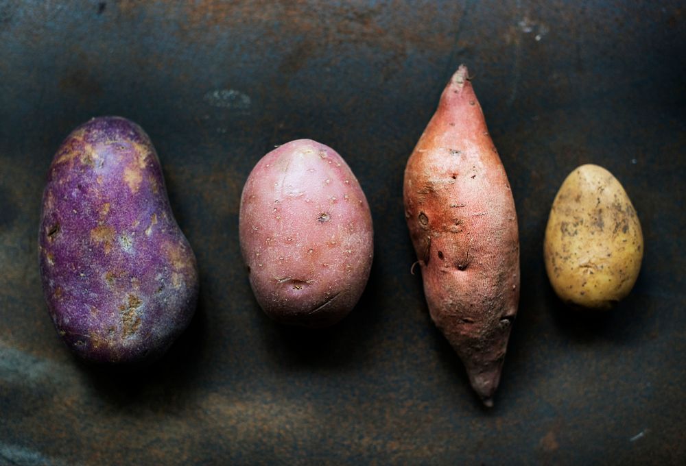 Different varieties of organic potatoes