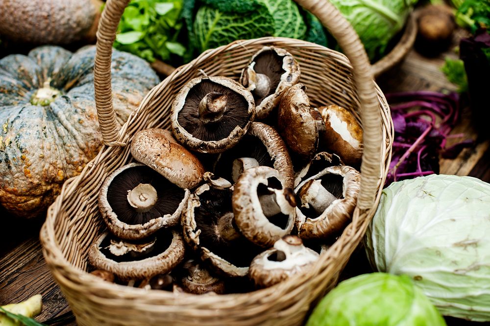 Closeup of fresh bunch of portobello mushroom in wooden basket