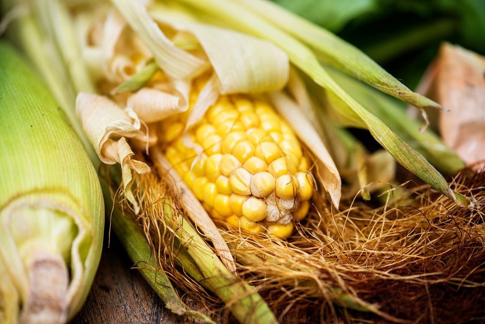Aerial view of sweencorn cob on wooden background