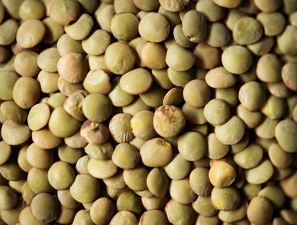 Closeup of lentils seed product fresh