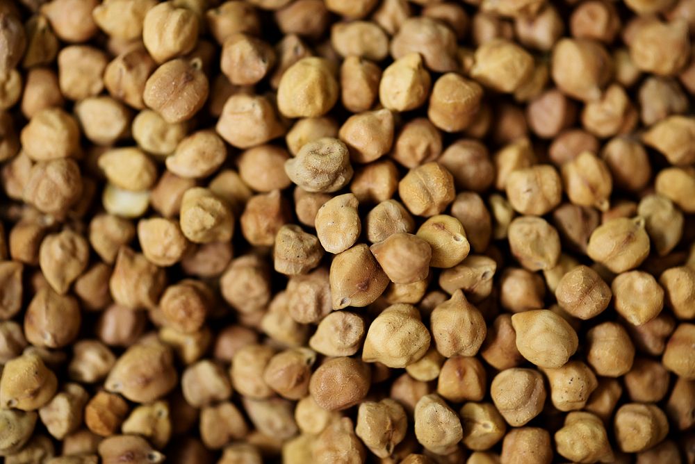 Closeup of chickpea product fresh