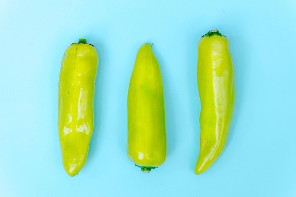 Fresh green chili isolated on blue background