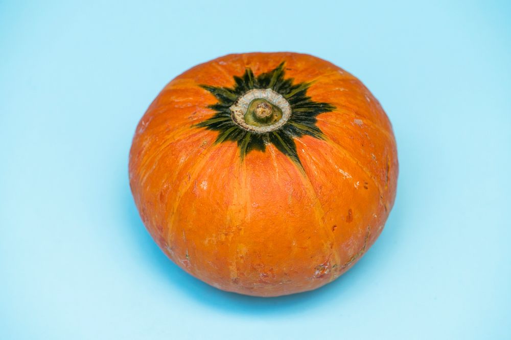 Closeup of fresh pumpkin on blue background
