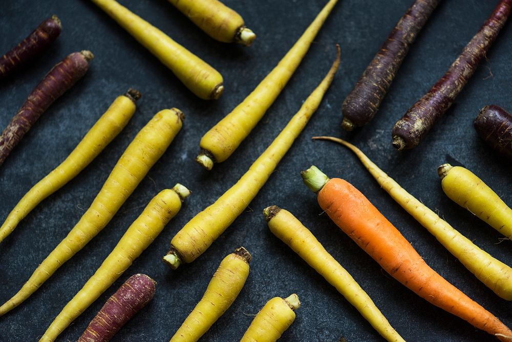 Variety of fresh edible carrots