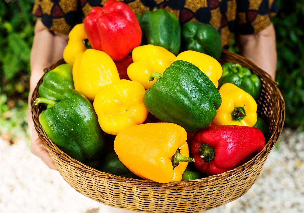 Variety of fresh bell pepper in a bucket