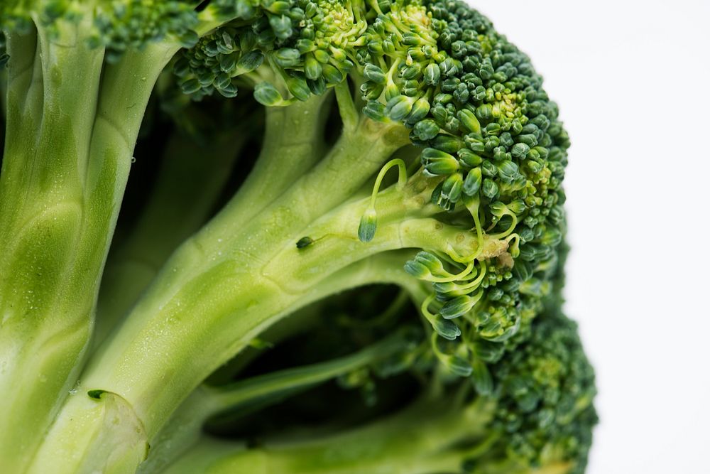 Natural fresh organic broccoli isolated on background
