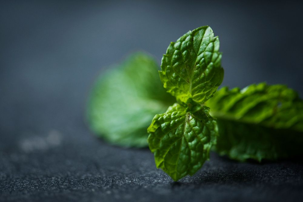 Peppermint leaves cooking herb
